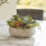 Lifelike Succulent Arrangement - OROA