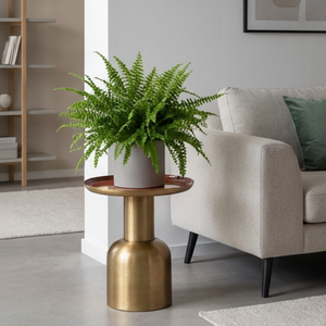 Optimized product image 5