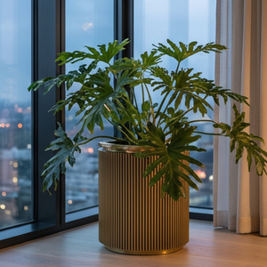   Optimized product image 4 | Oroa.com