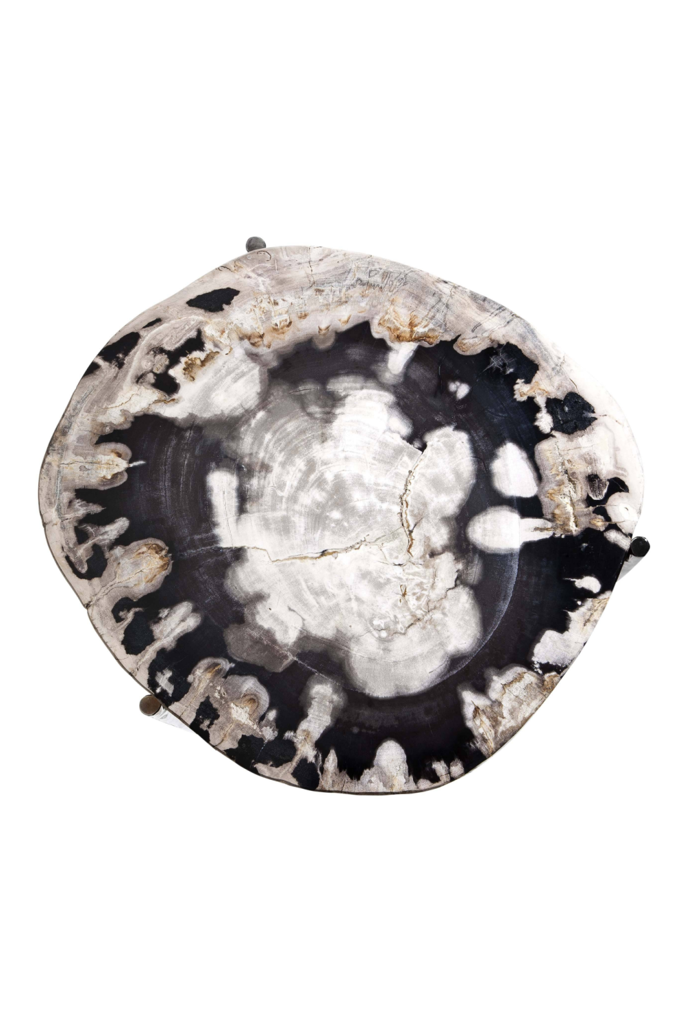 Petrified Wood Side Table | Eichholtz | OROA