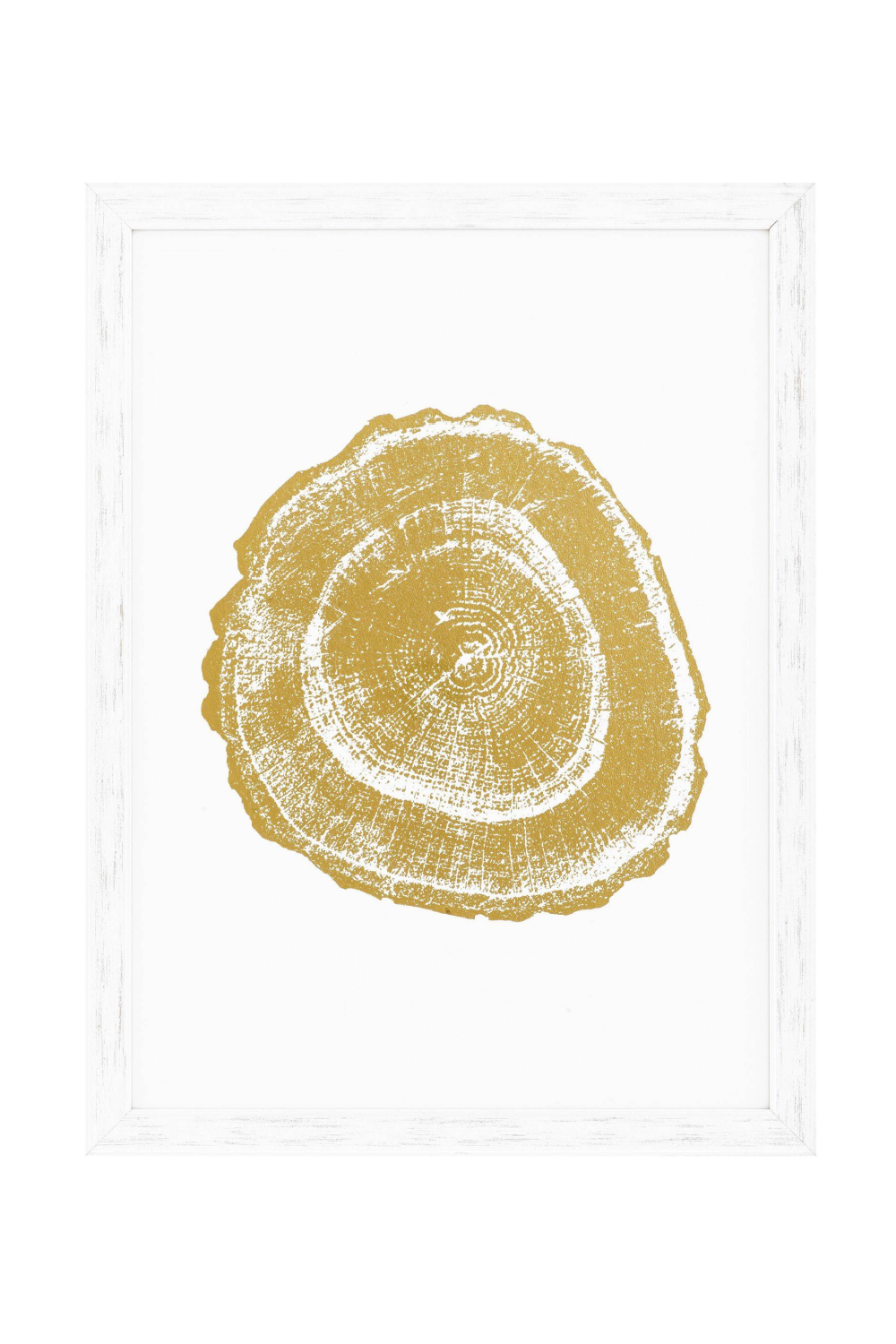 Gold Foil Tree Print (Set of 4) | Eichholtz Tree Rings | OROA
