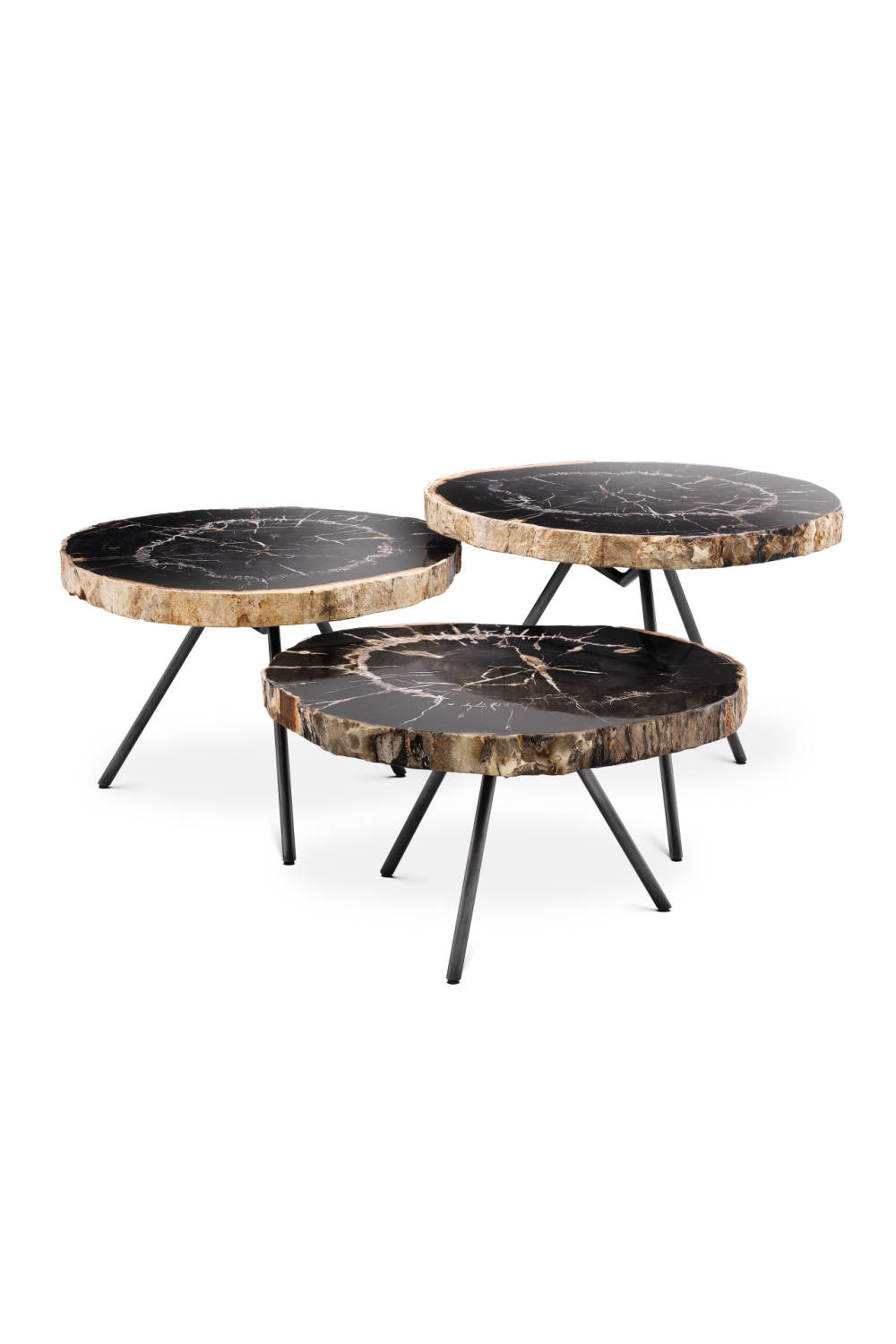Petrified Wood Coffee Table Set | Eichholtz De Soto | OROA