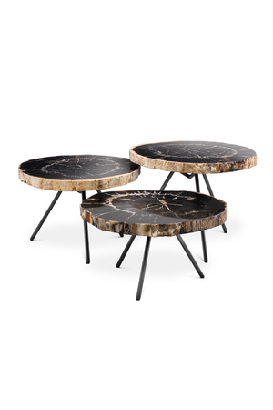 Petrified Wood Coffee Table Set | Eichholtz De Soto | OROA