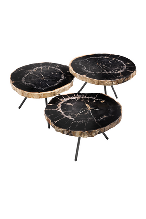 Petrified Wood Coffee Table Set | Eichholtz De Soto | OROA