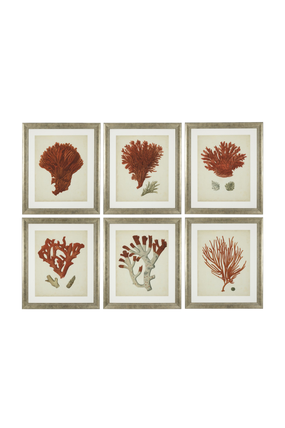 Coral Prints Set | Eichholtz Red Corals | OROA