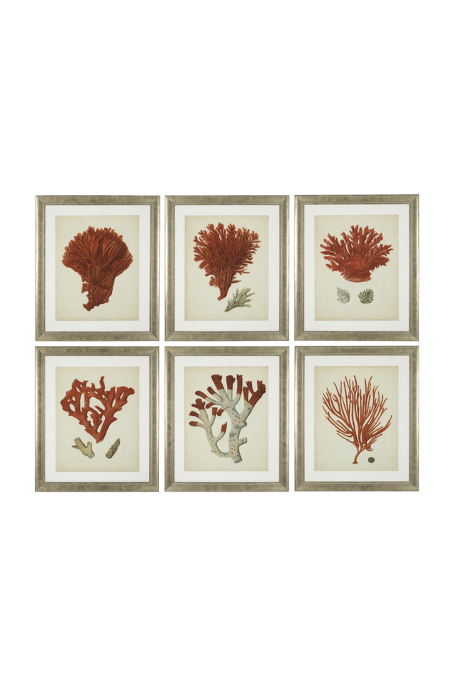 Coral Prints Set | Eichholtz Red Corals | OROA