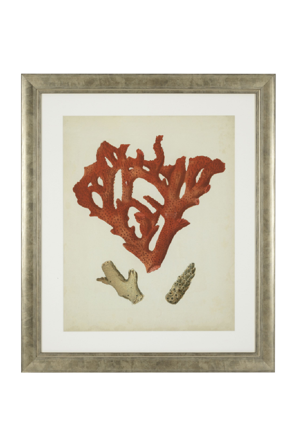 Coral Prints Set | Eichholtz Red Corals | OROA