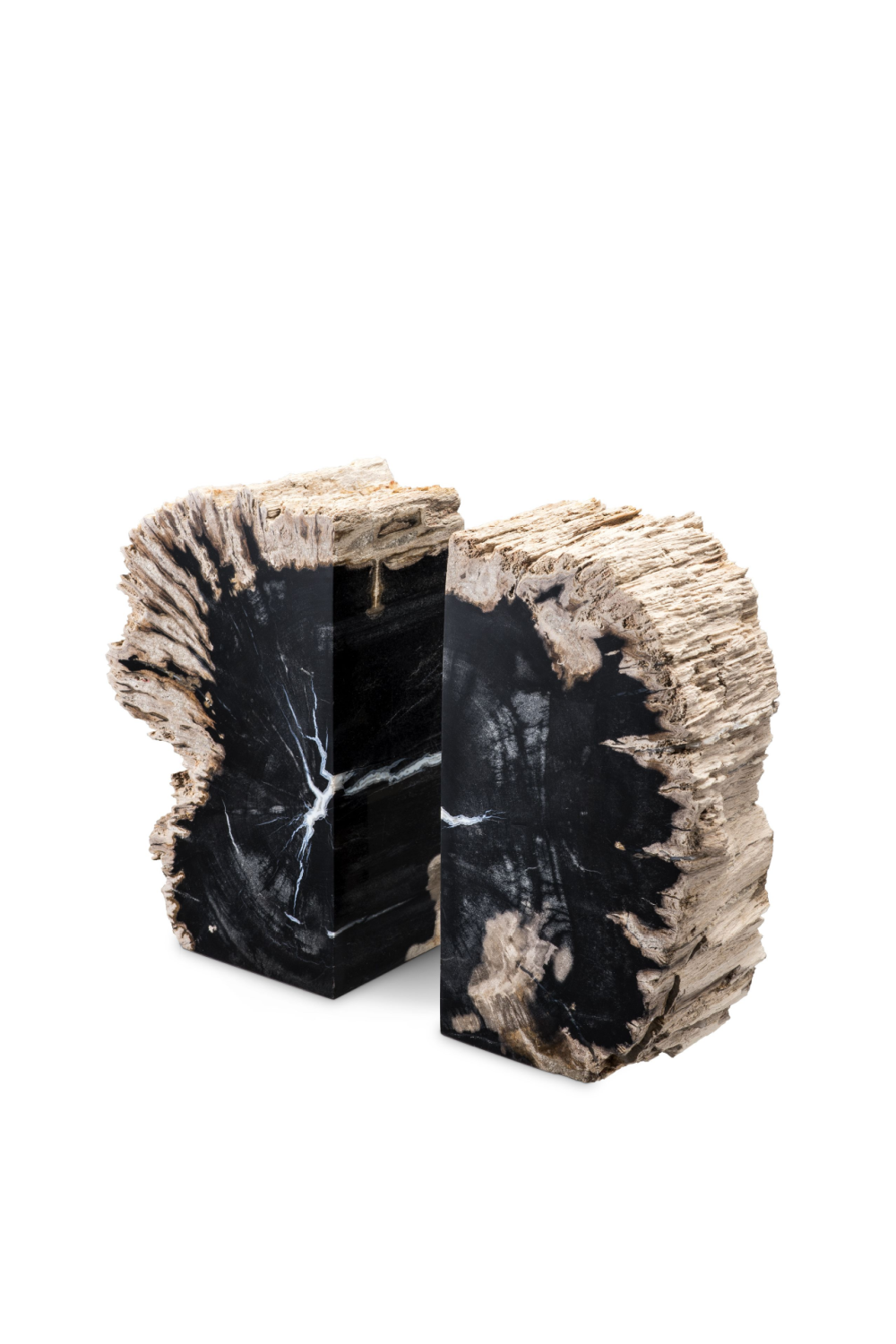 Petrified Wood Bookends | Eichholtz Opia | OROA