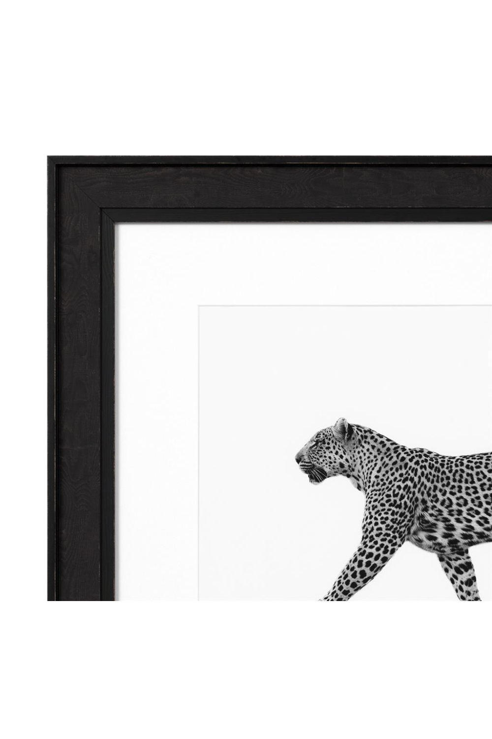 Black & White Print | Eichholtz Leopard | OROA