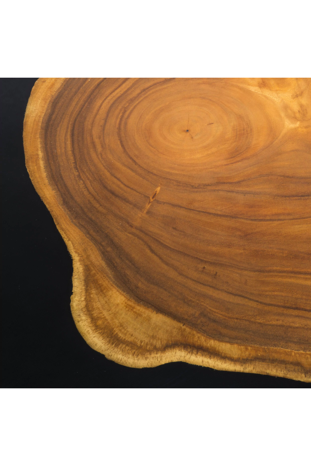 Golden Petrified Coffee Table | Eichholtz Concord | OROA