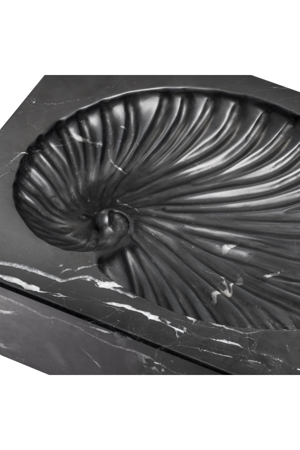 Black Marble Shell Fossil | Eichholtz Conchiglia | OROA.com
