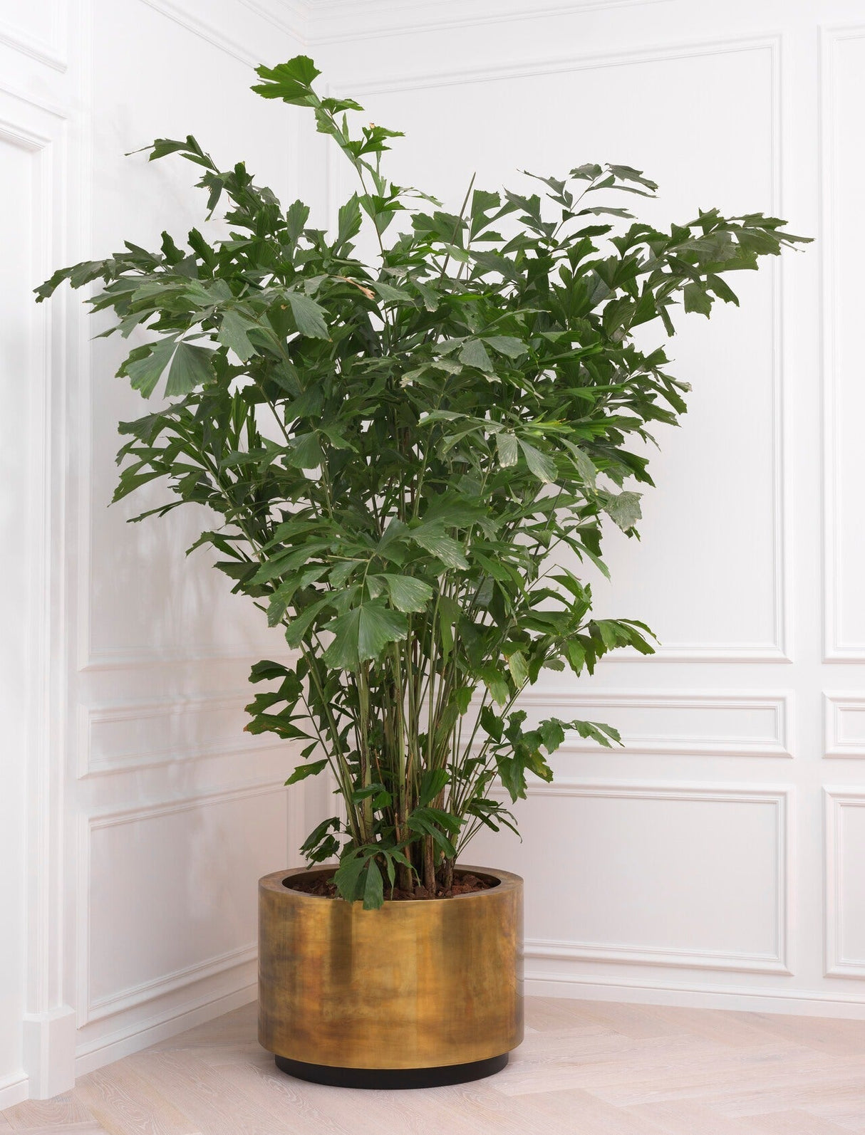 Vintage Brass Round Planter | Eichholtz Jasper | Oroa.com