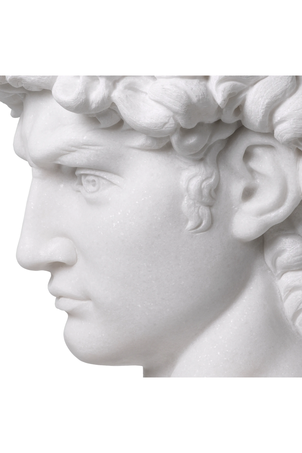 White Marble Head Sculpture | Eichholtz David | Oroa.com