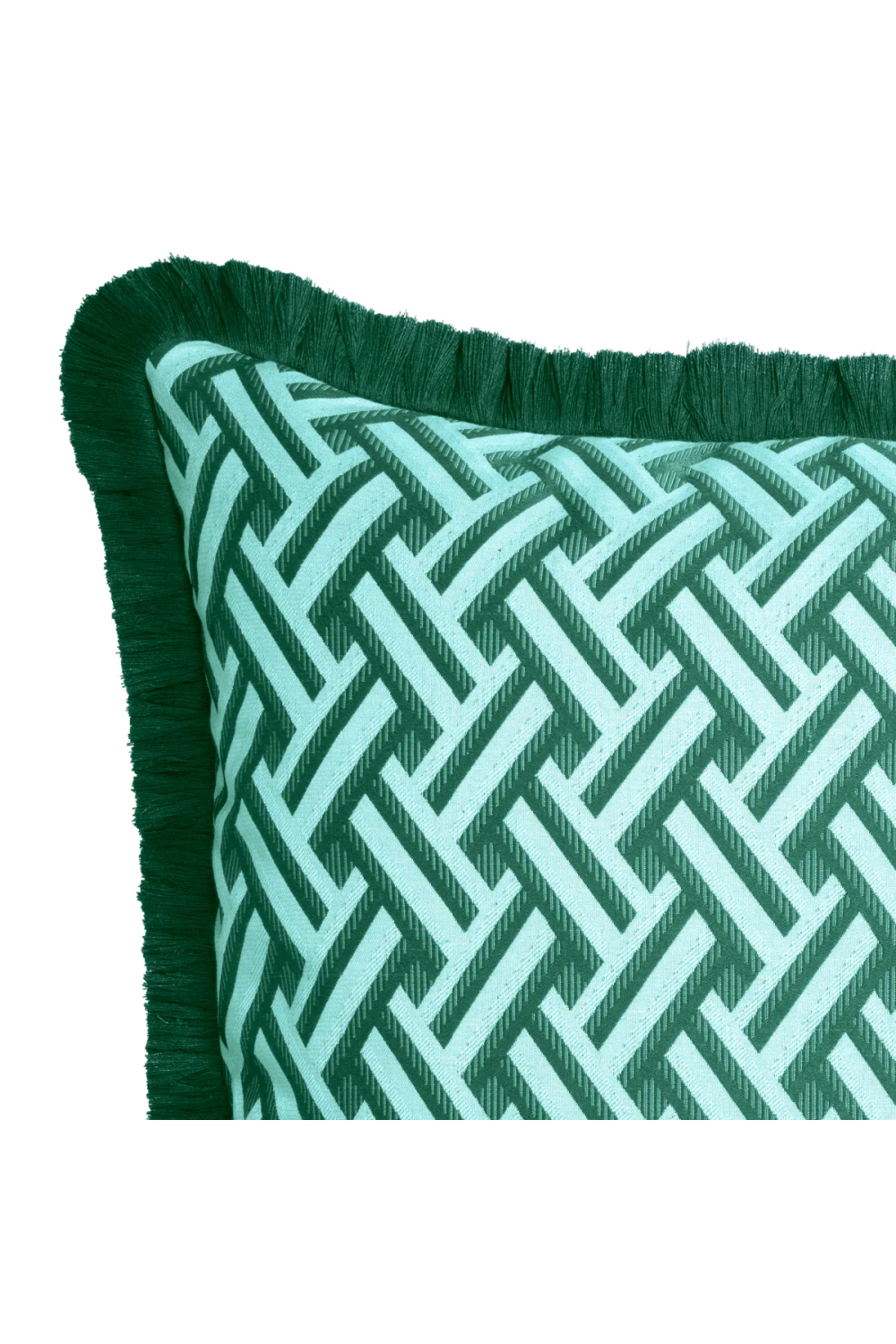 Green Fringed Cushion | Eichholtz Doris | Oroa.com