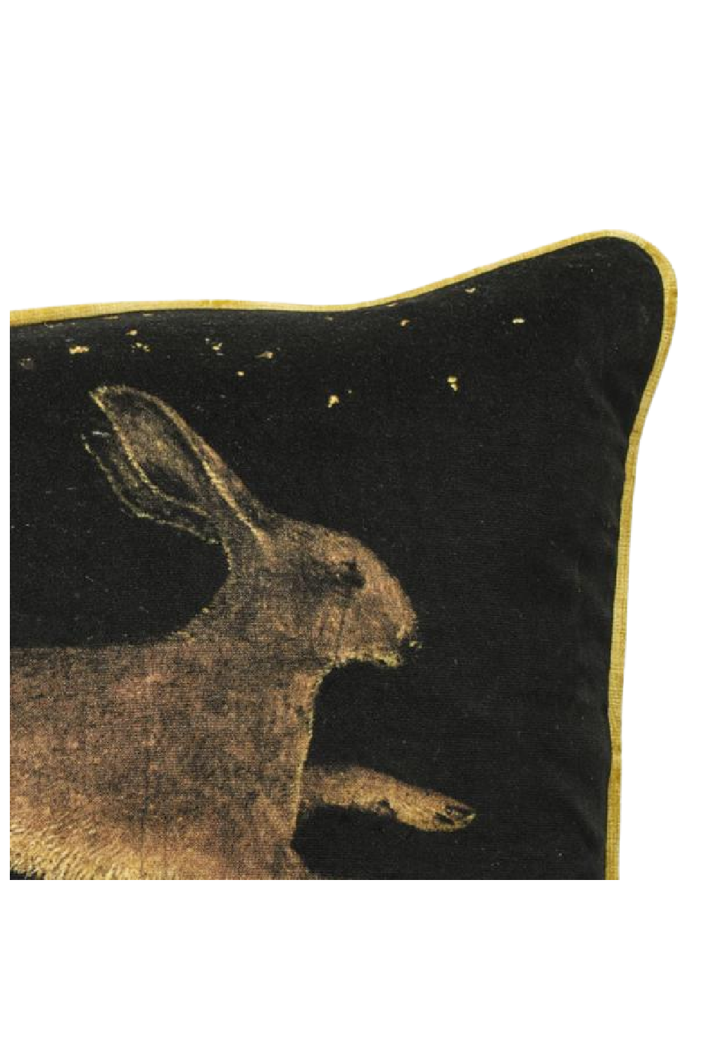Saint Eustace Cushion | Andrew Martin Pisanello Hare | OROA