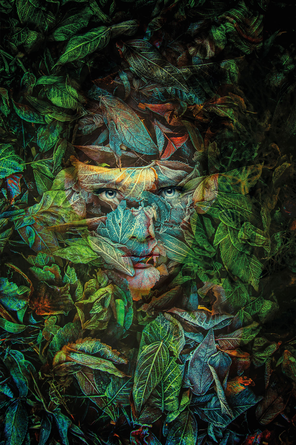 Face Beneath Leaves Photographic Artwork | Andrew Martin Camouflage