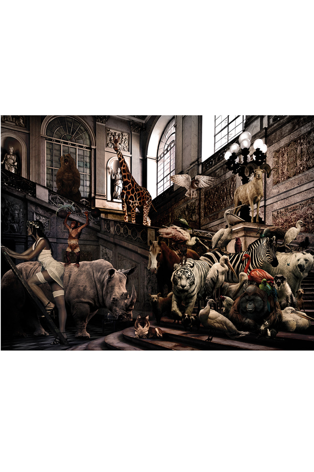 Wild Animals Photographic Artwork | Andrew Martin City Jungle