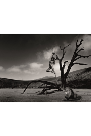 Monochrome Photographic Artwork | Andrew Martin Lion Gymnast | Oroa.com.