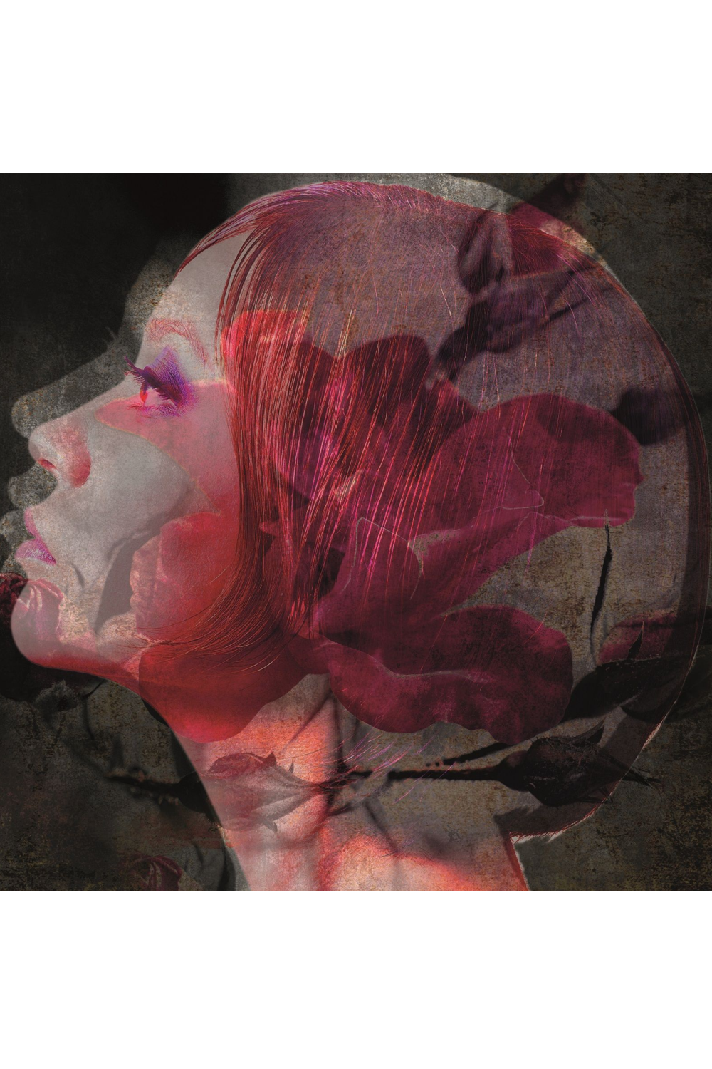 Woman's Side Portrait Artwork | Andrew Martin Red Black Face | Oroa.com