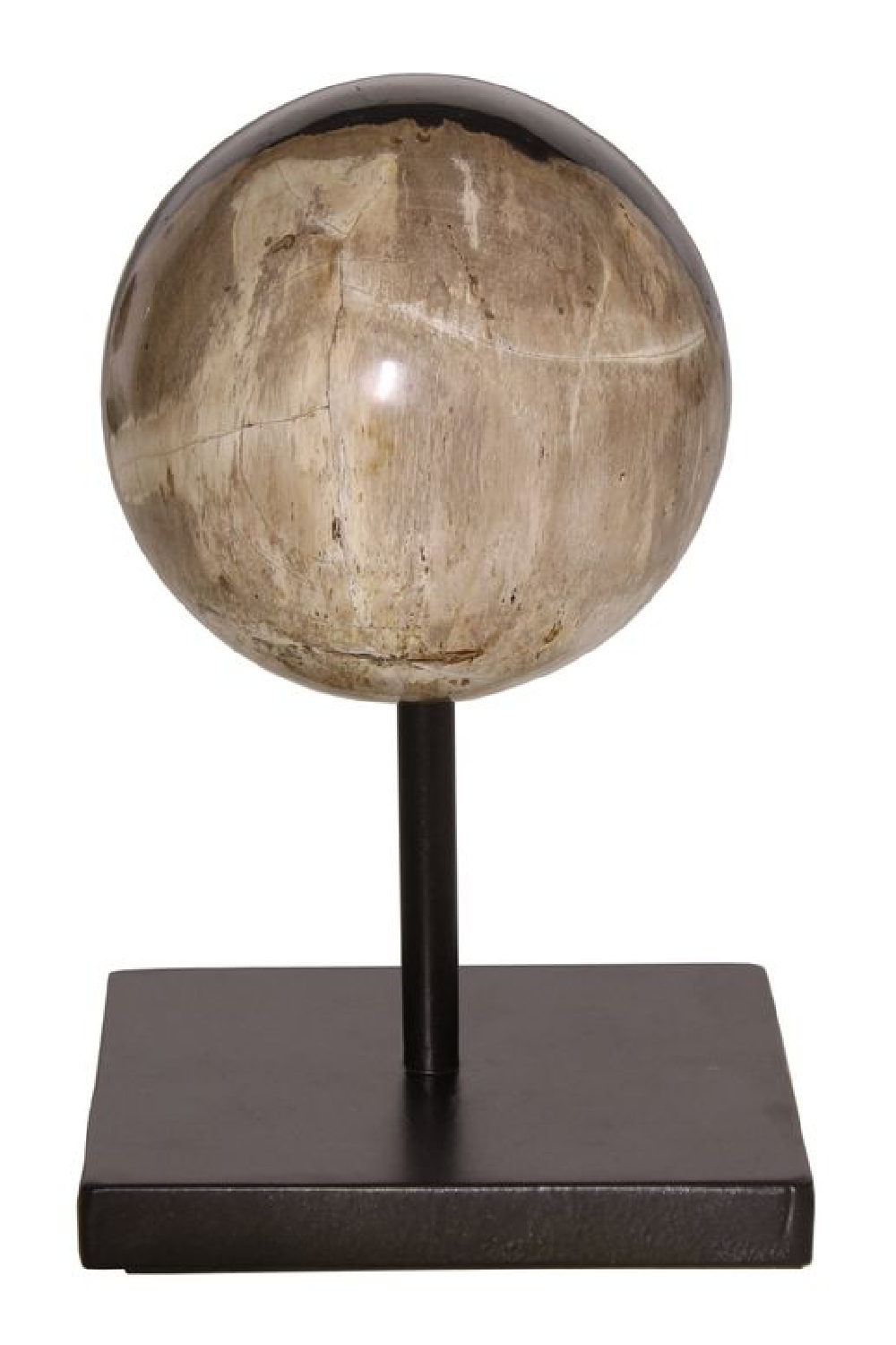 Petrified Wood Sphere On Stand | Andrew Martin | Oroa.com