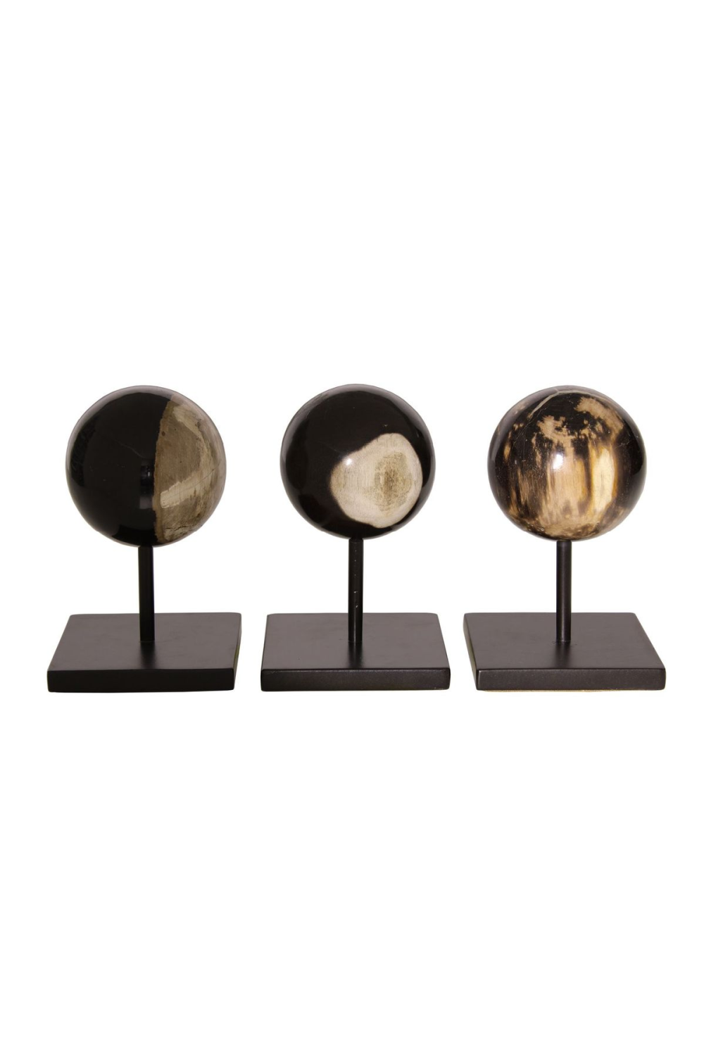 Petrified Wood Sphere On Stand | Andrew Martin | Oroa.com