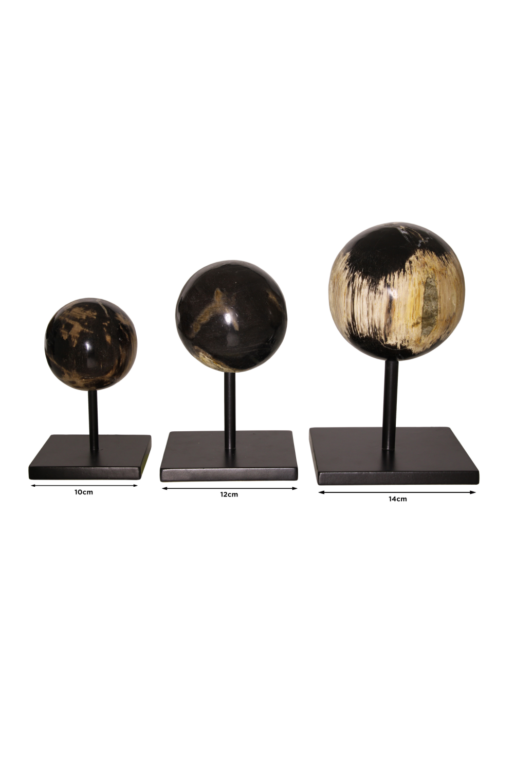 Petrified Wood Sphere On Stand | Andrew Martin | Oroa.com