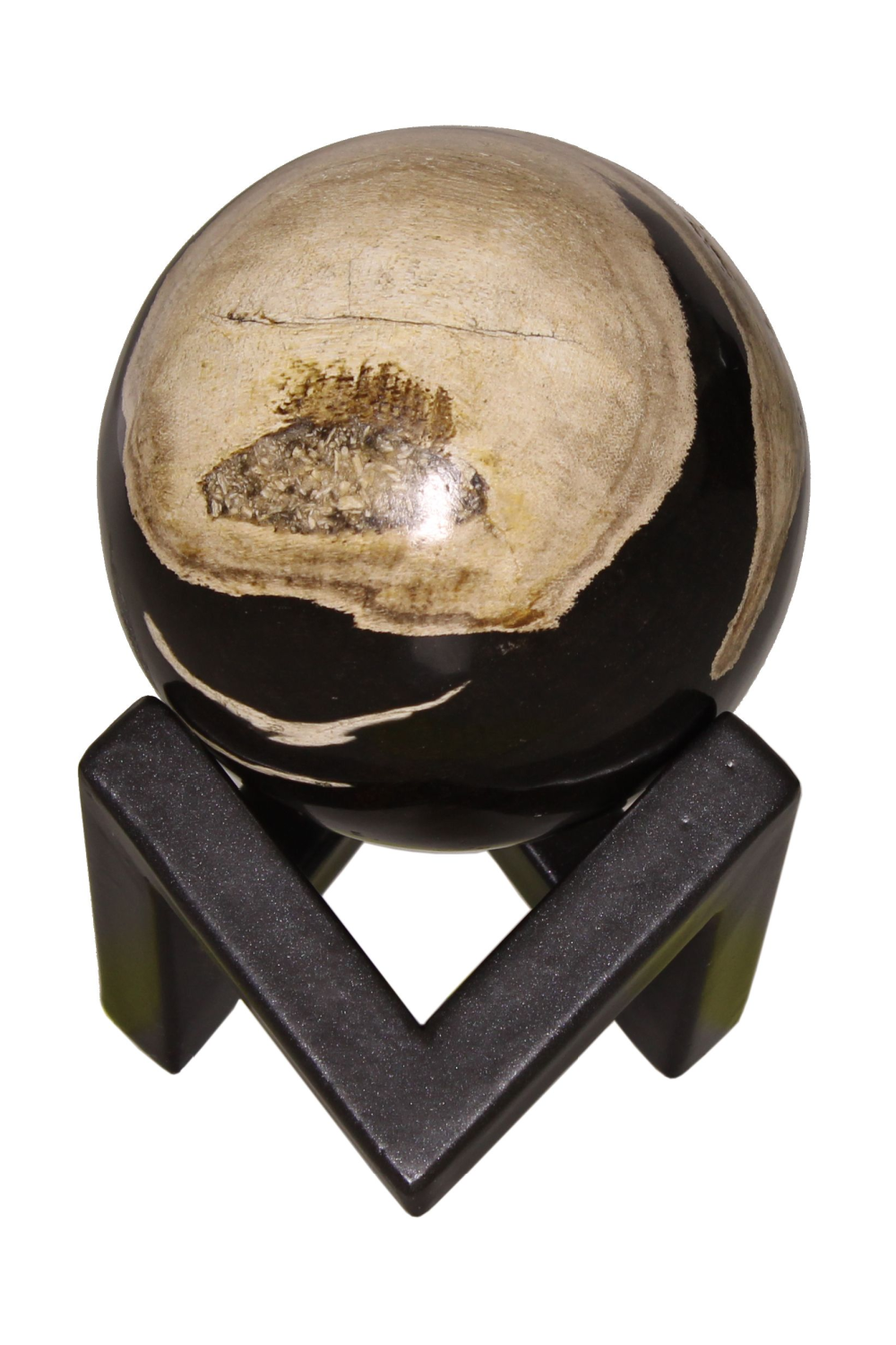 Petrified Wood Decorative Sphere | Andrew Martin | Oroa.com