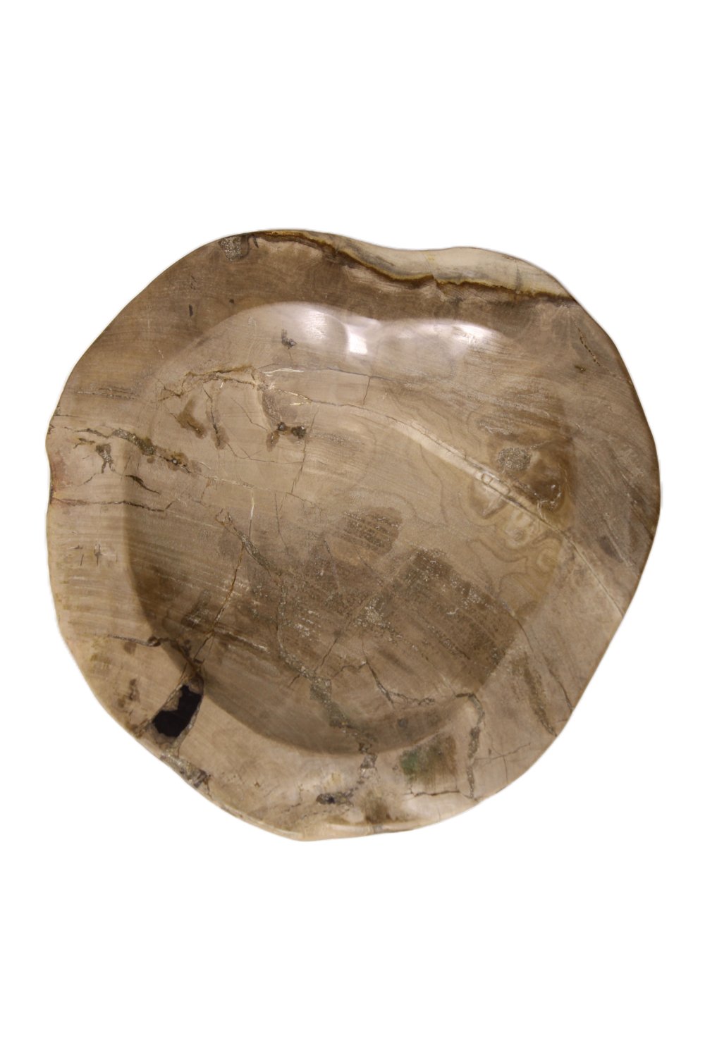 Natural Petrified Wood Tray | Andrew Martin | Oroa.com