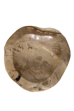 Natural Petrified Wood Tray | Andrew Martin | Oroa.com