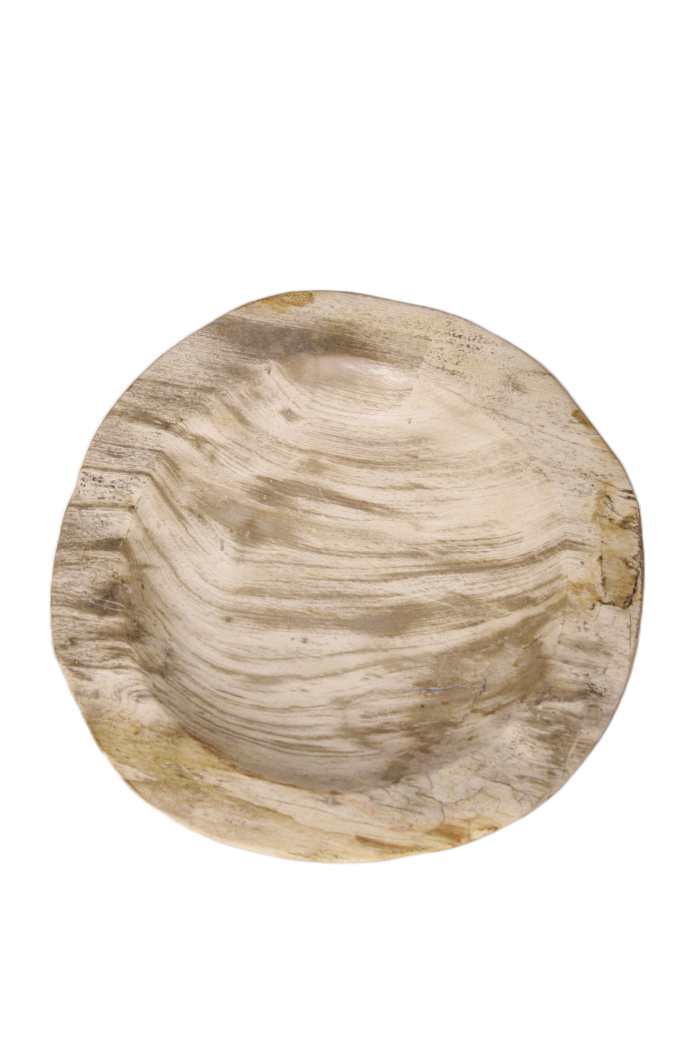Natural Petrified Wood Tray | Andrew Martin | Oroa.com