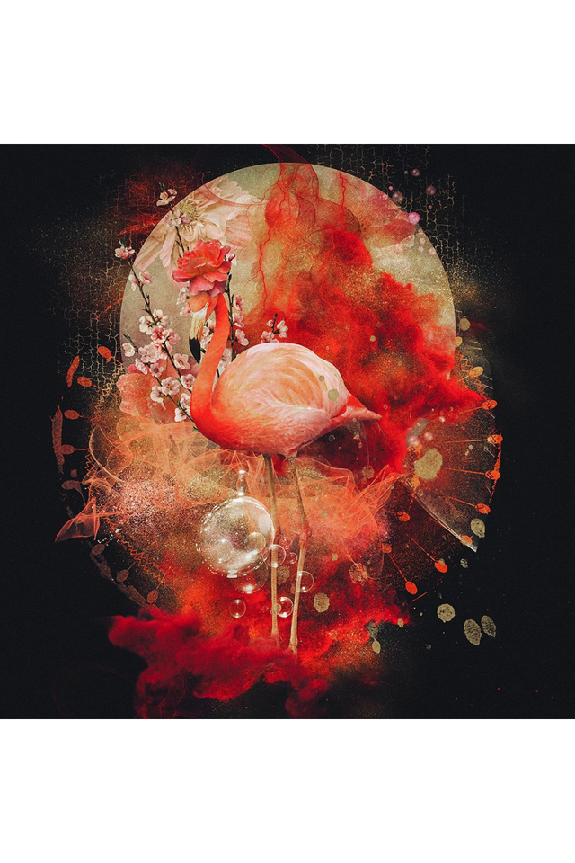 Red Flamingo Photographic Art | Andrew Martin Her Highness | Oroa.com