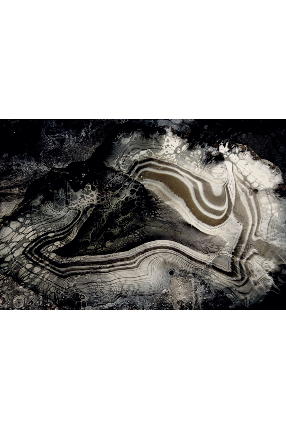 Swirl Photographic Artwork | Andrew Martin Milky Way | Oroa.com