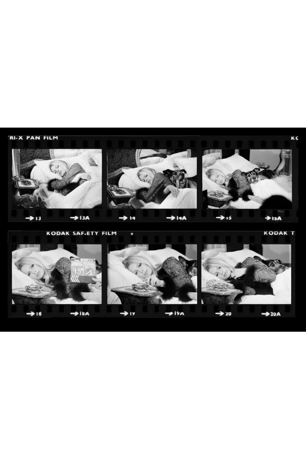 French Actress Photographic Artwork | Andrew Martin Chasing Rabbits - Brigitte Bardot | Oroa.com