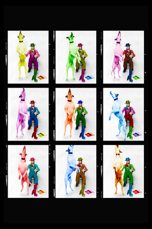 English Musician Photographic Artwork | Andrew Martin Rainbowie - David Bowie | Oroa.com