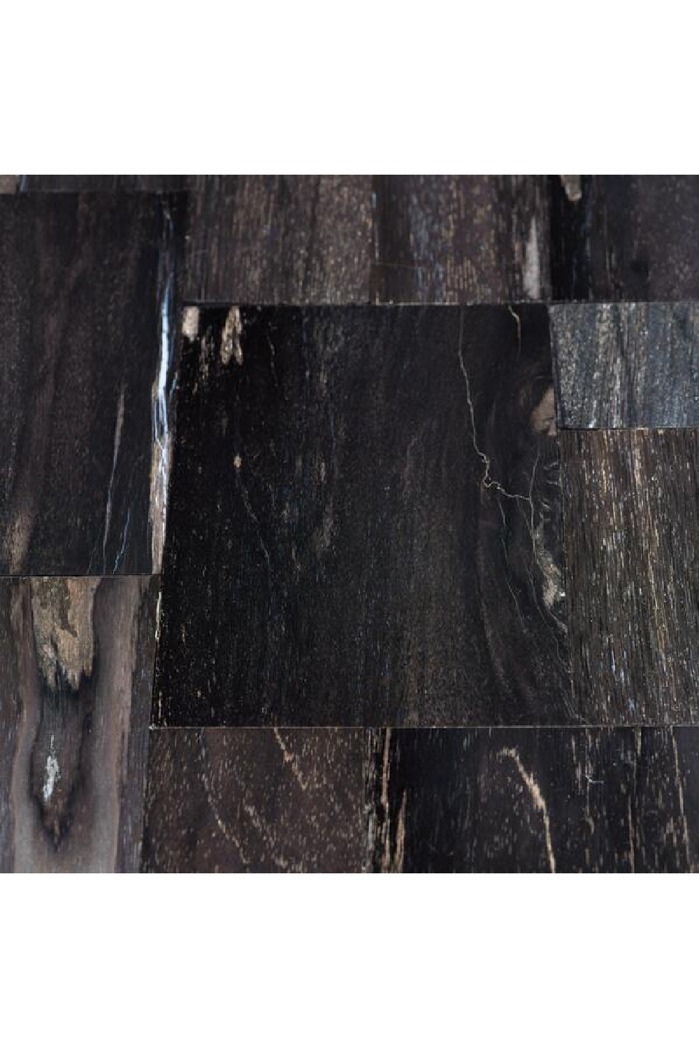 Black Petrified Wood Console Table | Andrew Martin Raife | OROA.com