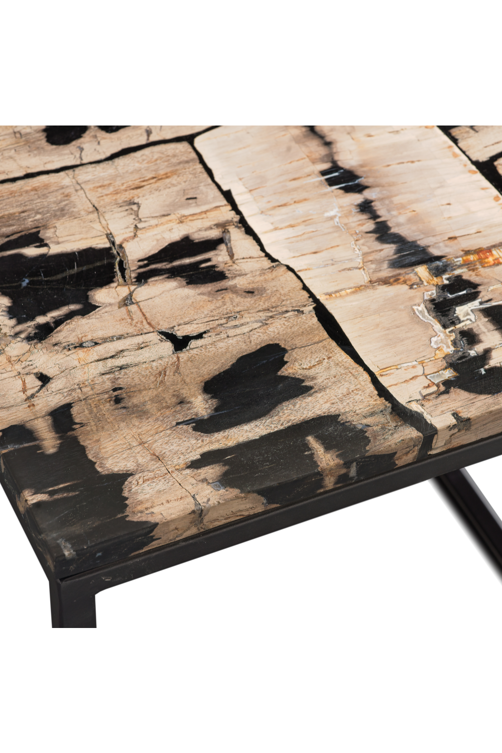 Rectangular Petrified Wood Coffee Table | Andrew Martin | OROA.com