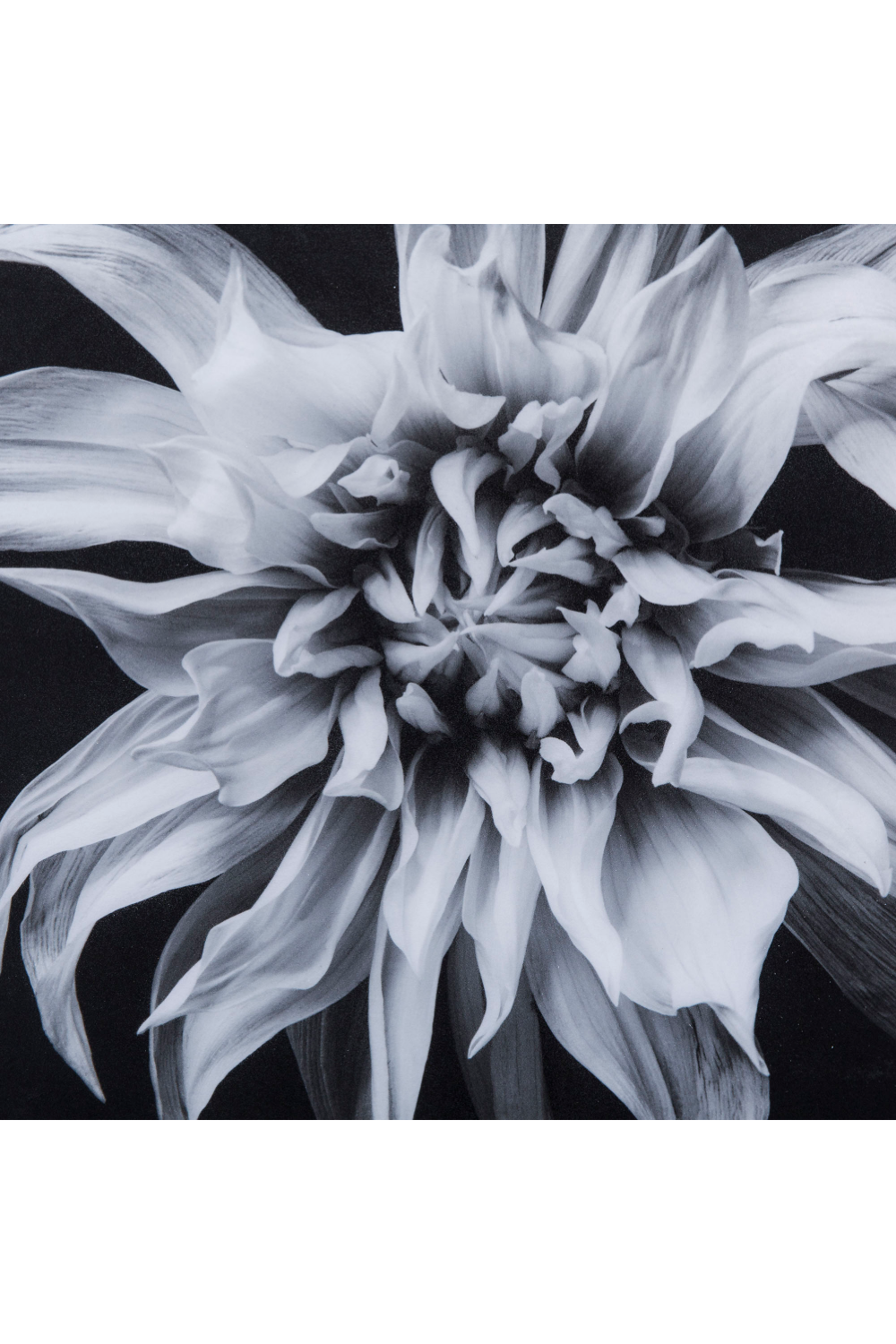 Black And White Epoxy Artwork | Andrew Martin | Oroa.com