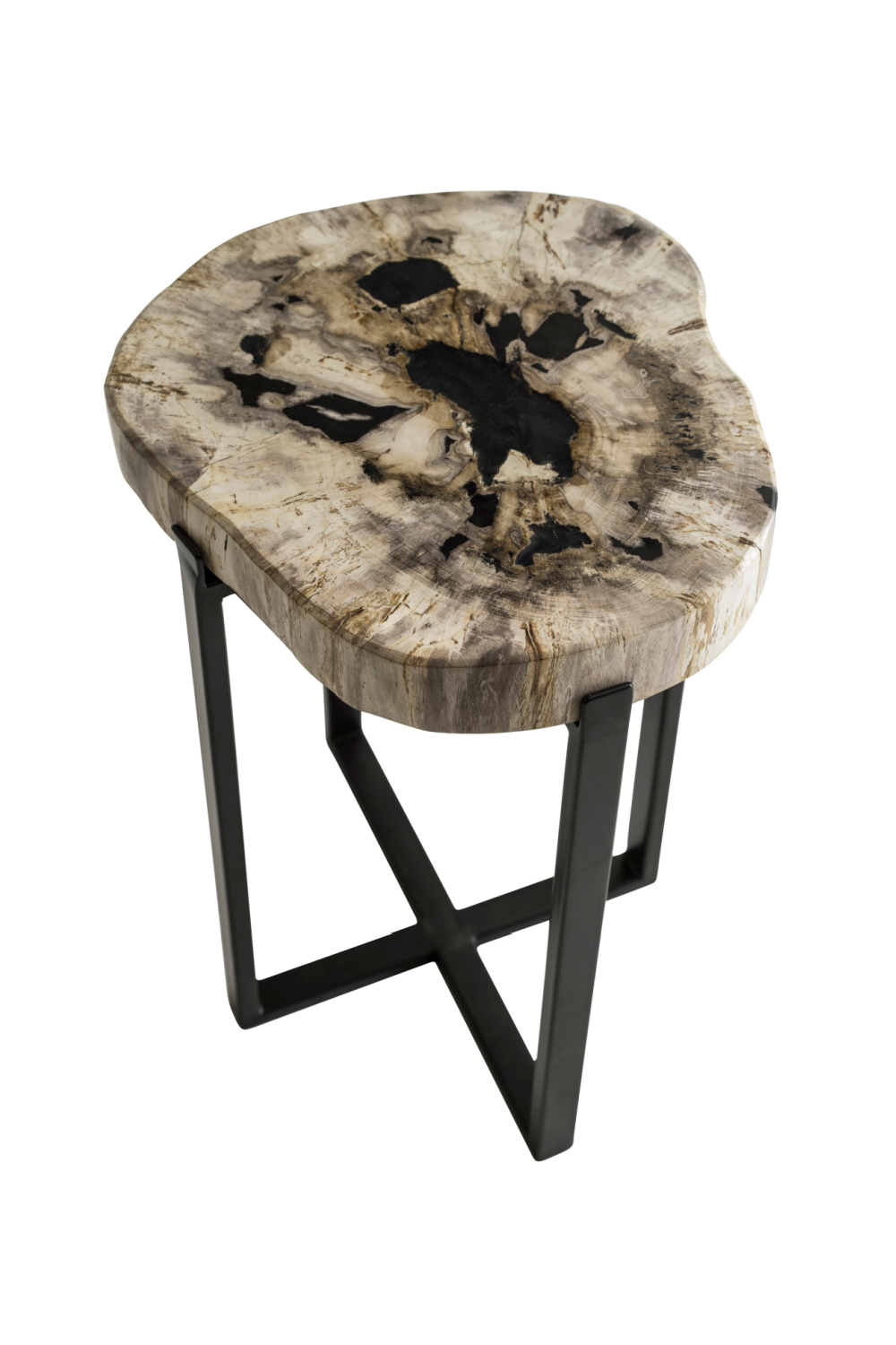 Petrified Wood Lamp Table | Andrew Martin Peter Disk | OROA