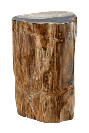 Hand-Polished Petrified Wood Stool | Andrew Martin Log | OROATRADE