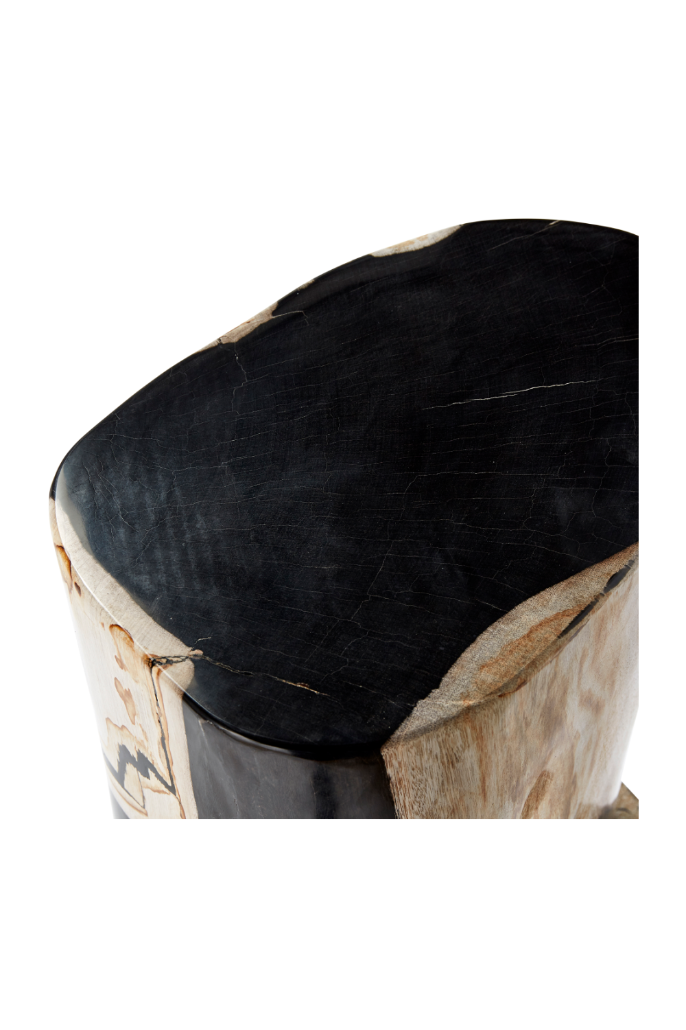 Hand-Polished Petrified Wood Stool | Andrew Martin Log | OROATRADE