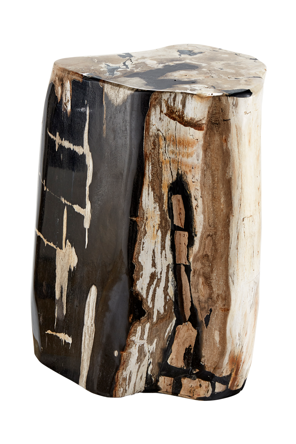 Hand-Polished Petrified Wood Stool | Andrew Martin Log | OROATRADE