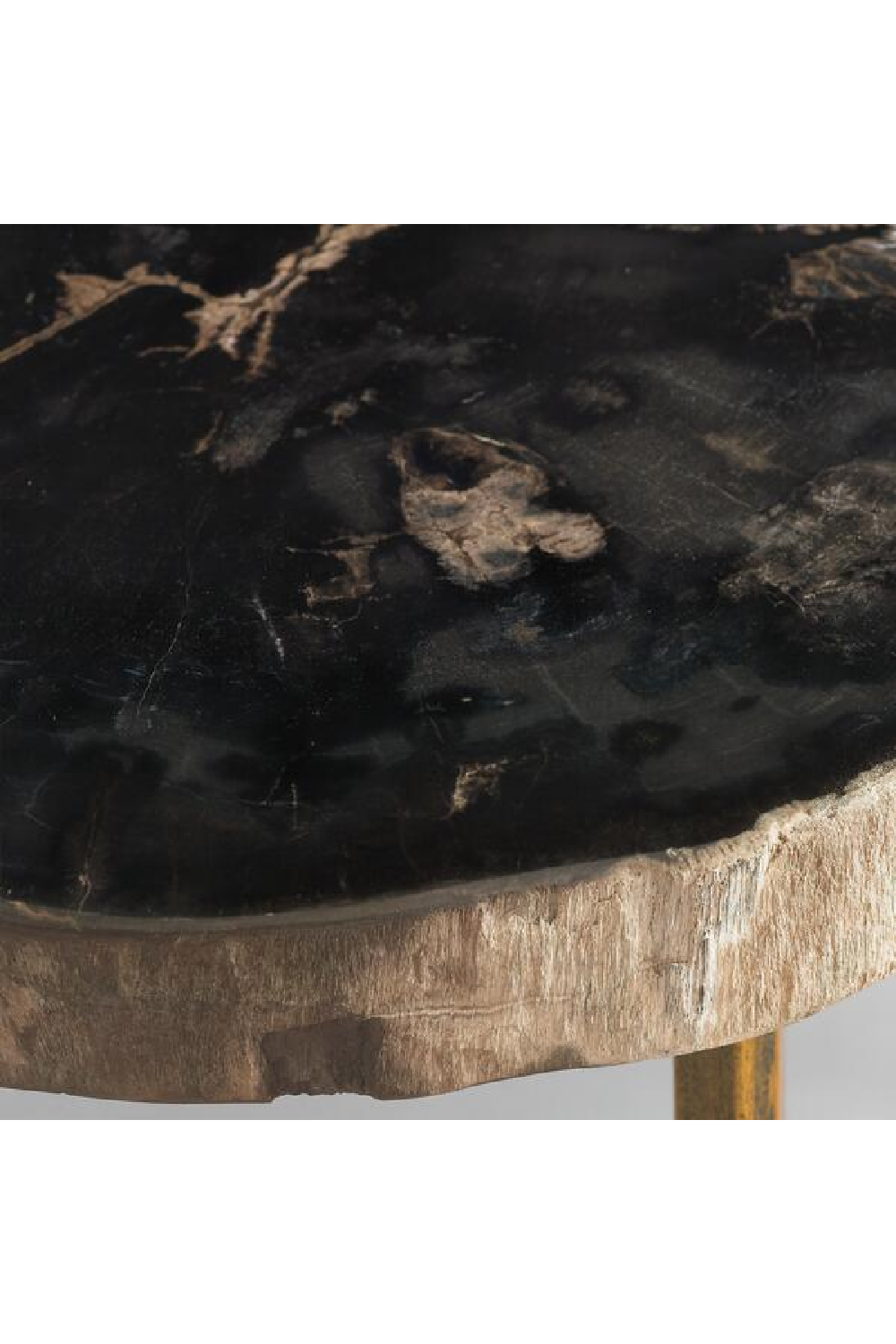 Dark Round Petrified Wood Side Table | Andrew Martin Jonah | OROA.com