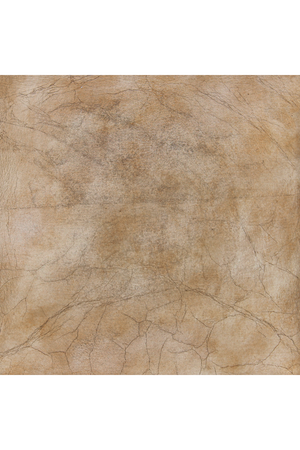 Beige Modern Buffet | Caracole Foiled Again | Oroa.com