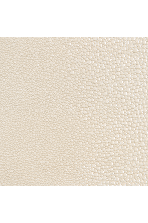 Shagreen Curved Mirror | Caracole Aria | Oroa.com