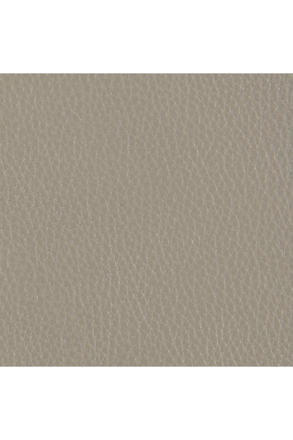 Taupe Leather Side Table | Caracole Bindi | Oroa.com