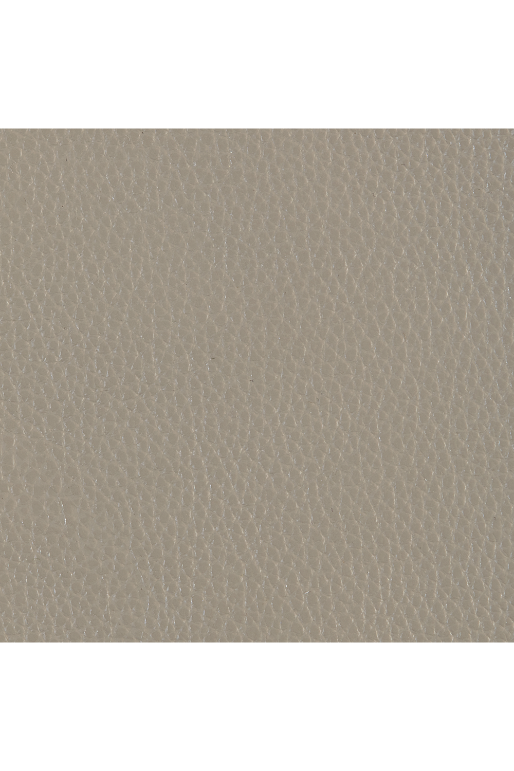 Taupe Leather Office Chair | Caracole Blythe | Oroa.com