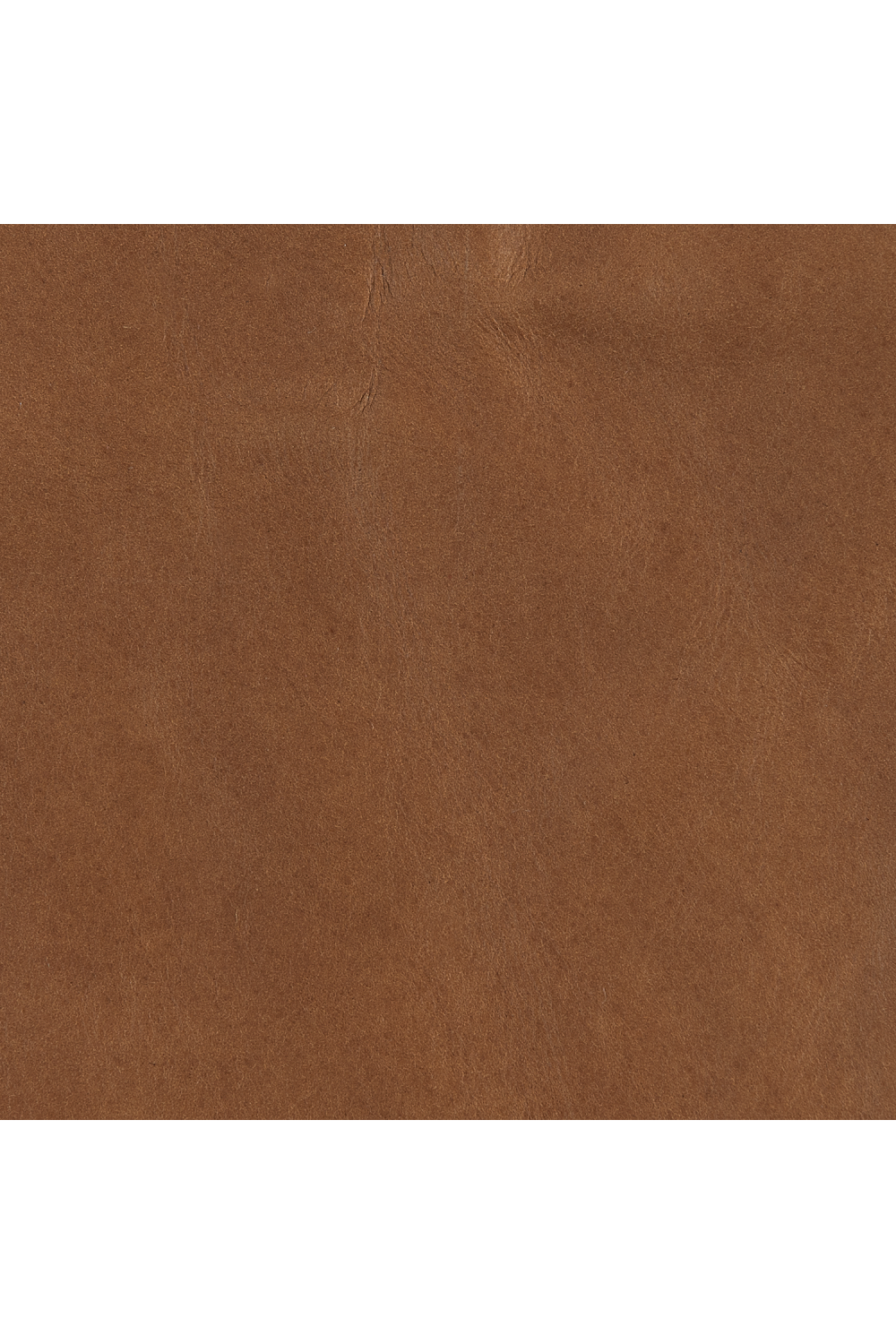 Brown Leather Bed | Caracole Rhythm | Oroa.com