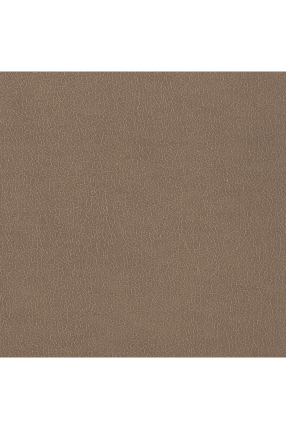 Neutral Toned Modern Sofa | Caracole Counter Balance | Oroa.com