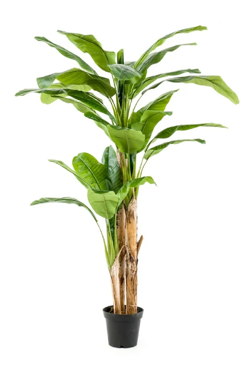 Potted Faux Fruit Tree | Emerald Banana | Oroa.com