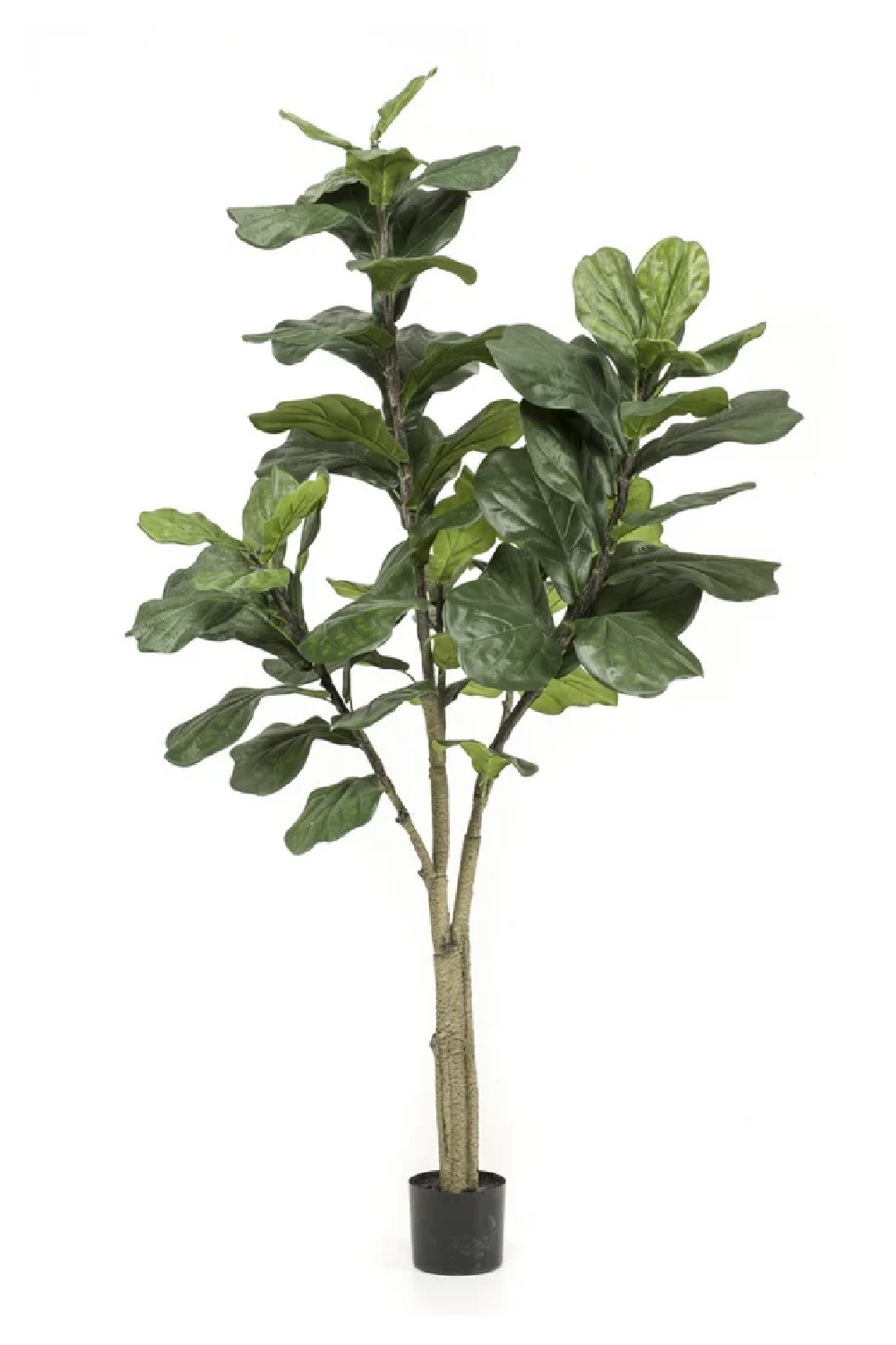 Faux Fiddle Leaf Decor Set (2) | Emerald Ficus Lyrata | Oroa.com